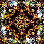 yellow swans & the cherry point - s/t yellow swans & the cherry point - s/t