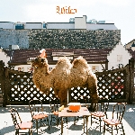 wilco - (the album) wilco - (the album)