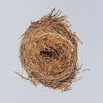 wilco - a ghost is born wilco - a ghost is born