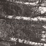 prurient / hanged mans orgasm - unknowns prurient / hanged mans orgasm - unknowns