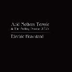 acid mothers temple & the melting paraiso u.f.o - electric heavyland acid mothers temple & the melting paraiso u.f.o - electric heavyland