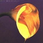 swans - the burning world swans - the burning world