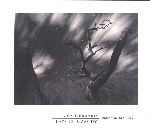 lisa gerrard - patrick cassidy - immortal memory lisa gerrard - patrick cassidy - immortal memory