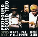 profound sound trio - opus de life profound sound trio - opus de life