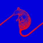 the dwarfs of east agouza - rats don't eat synthesizers the dwarfs of east agouza - rats don't eat synthesizers