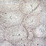 sylvie courvoisier - signs and epigrams sylvie courvoisier - signs and epigrams