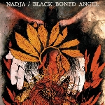 nadja/black boned angel - nadja/black boned angel nadja/black boned angel - nadja/black boned angel