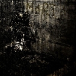 blut aus nord - mort (ltd. 250) blut aus nord - mort (ltd. 250)