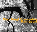max nagl ensemble - ramasuri max nagl ensemble - ramasuri
