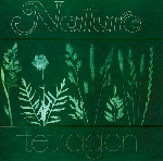 tetragon - nature tetragon - nature