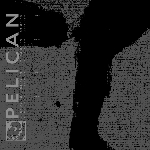 pelican - untitled ep