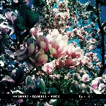 fennesz - daniell - buck - knoxville fennesz - daniell - buck - knoxville
