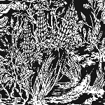 eternal tapestry - wild strawberries eternal tapestry - wild strawberries