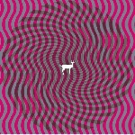 deerhunter - cryptograms / fluorescent grey deerhunter - cryptograms / fluorescent grey