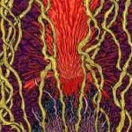 zozobra - harmonic tremors zozobra - harmonic tremors