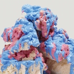 battles - dross glop 1 battles - dross glop 1