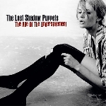 the last shadow puppets - the age of the understatement the last shadow puppets - the age of the understatement
