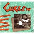 curlew - live at cbgb 1980 curlew - live at cbgb 1980