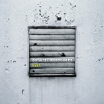 somatic responses - neon somatic responses - neon