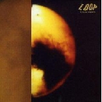 loop - a gilded eternity loop - a gilded eternity