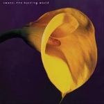swans - the burning world swans - the burning world