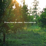 oren ambarchi - grapes from the estate oren ambarchi - grapes from the estate
