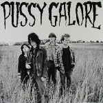 pussy galore - groovy hate fuck (rsd 2013 release) pussy galore - groovy hate fuck (rsd 2013 release)