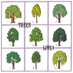 trees - live!