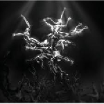 lisa gerrard - the silver tree lisa gerrard - the silver tree