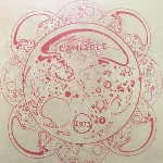 camizole - camizole 1975 camizole - camizole 1975