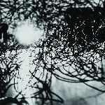 syndrome / thisquietarmy - muhka syndrome / thisquietarmy - muhka