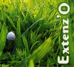 extenz'o (rocher - benoit - perraud - thévenard) - ... extenz'o (rocher - benoit - perraud - thévenard) - ...