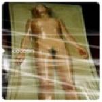 cocoon - s/t cocoon - s/t
