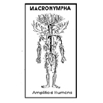 macronympha - amplified humans macronympha - amplified humans