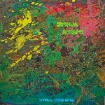 joshua abrams - natural information