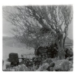 guanaco - sky burials