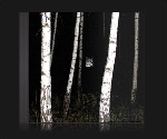 mokira - bias line b/w godstar mokira - bias line b/w godstar