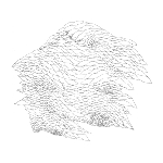 yellow swans with john wiese - portable dunes yellow swans with john wiese - portable dunes