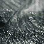 berg - block - roden - vitiello - moss 