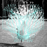 valerio tricoli - thomas ankersmit - forma II valerio tricoli - thomas ankersmit - forma II
