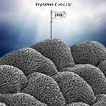 olek (alexander wilson) - imposture & vacuity olek (alexander wilson) - imposture & vacuity