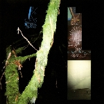 kites / prurient - load split series #4 kites / prurient - load split series #4