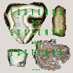 ben vida - esstends-esstends-esstends ben vida - esstends-esstends-esstends