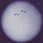 survive - s/t survive - s/t