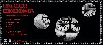 lena circus - hiroko komiya - five degrees of frost