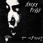 harry pussy - what was music ? (1992-1995) harry pussy - what was music ? (1992-1995)