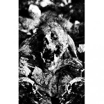 crown of bone / utarm - split crown of bone / utarm - split