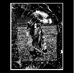 dave phillips - abgrund dave phillips - abgrund