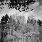 benoit pioulard - seize /marre benoit pioulard - seize /marre