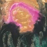 èlg - mauve zone èlg - mauve zone